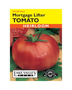 Solanum, Tomato Beefsteak (Pole) 'Mortgage Lifter' Heirloom