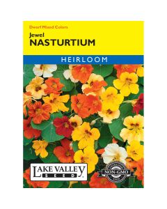 Tropaeolum, Dwarf Nasturtium Mix 'Jewel'