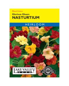 Tropaeolum, Dwarf Nasturtium Mix 'Glorious Gleam' Heirloom