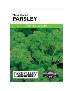 Petroselinum, Parsley 'Moss Curled' Heirloom