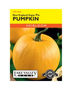Cucurbita, Pie Pumpkin 'New England Sugar Pie' Heirloom