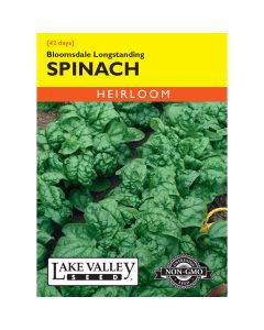 Spinacia, Spinach 'Bloomsdale Longstanding' Heirloom