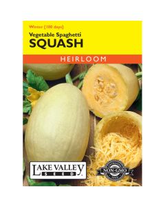 Cucurbita, Sweet Winter Squash 'Vegetable Spaghetti' Heirloom