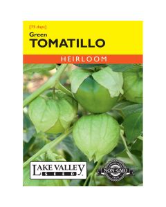 Physalis, Tomatillo 'Green' Heirloom