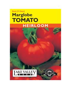 Solanum, Tomato Globe (Bush) 'Marglobe' Heirloom