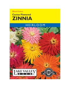 Zinnia Mix 'Cactus Flowered' Heirloom