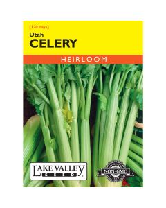 Apium, Celery 'Utah' Heirloom