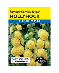 Alcea, Hollyhock 'Summer Carnival Yellow' Heirloom