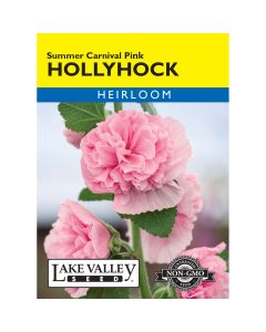 Alcea, Hollyhock 'Summer Carnival Pink' Heirloom