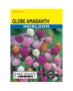 Gomphrena, Globe Amaranth Heirloom Mix