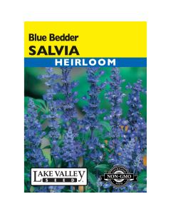 Salvia, Mealy Sage 'Blue Bedder' Heirloom