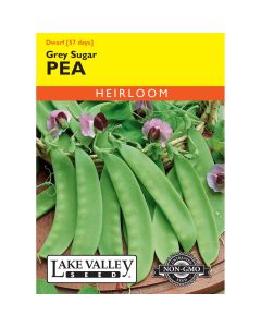 Pisum, Snow Peas (Pole) 'Grey Sugar' Heirloom