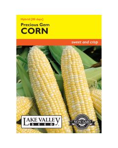 Zea, Sweet Corn (Early) 'Precious Gem' Hybrid