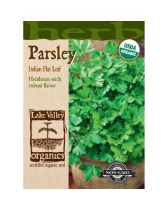 Petroselinum, Parsley 'Italian Flat Leaf' Organic Heirloom