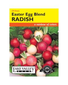 Raphanus, Radish Mix 'Easter Egg Blend'