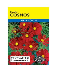 Cosmos 'Dazzler' Heirloom