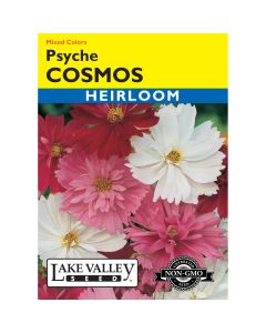 Cosmos Mix 'Psyche' Heirloom