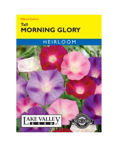 Ipomoea, Morning Glory Mix 'Tall'