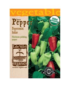 Capsicum, Sweet Pepper 'Pepperoncini Italian' Organic Heirloom