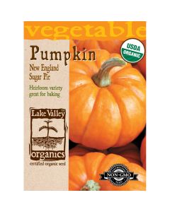 Cucurbita, Pie Pumpkin 'New England Sugar Pie' Organic Heirloom