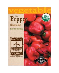 Capsicum, Hot Pepper 'Habanero' Organic Heirloom