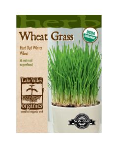 Triticum, Wheat Grass 'Hard Red Winter Wheat' Organic