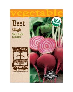 Beta, Beet 'Chioggia' Organic Heirloom