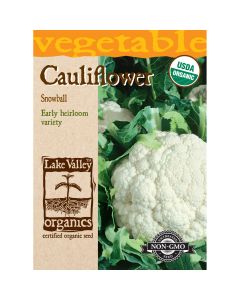 Brassica, Cauliflower 'Early Snowball' Organic Heirloom