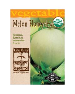 Cucumis, Melon 'Honeydew' Organic Heirloom