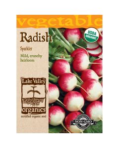 Raphanus, Radish 'Sparkler' Organic Heirloom