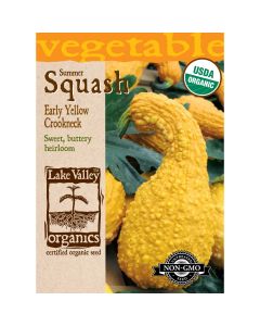 Cucurbita, Summer Squash 'Early Yellow Crookneck' Organic Heirloom