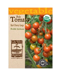 Solanum, Tomato Cherry (Pole) 'Red Cherry' Organic Heirloom