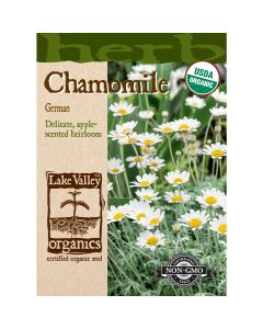 Matricaria, German Chamomile Organic Heirloom
