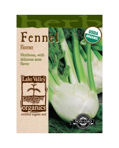 Foeniculum, Bulbing Fennel 'Florence' Organic Heirloom