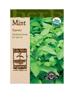 Mentha, Mint 'Peppermint' Organic Heirloom