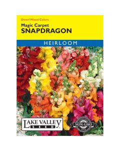 Antirrhinum, Snapdragon Mix 'Magic Carpet' Heirloom