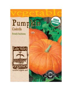 Cucurbita, French Pumpkin 'Cinderella' Organic Heirloom