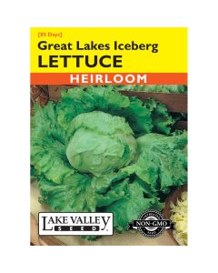 Lactuca, Crisphead Lettuce 'Great Lakes Iceberg' Heirloom