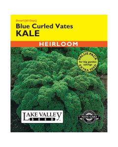 Brassica, Kale 'Blue Curled Vates' Heirloom Value Pack