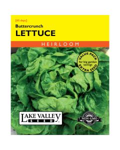 Lactuca, Butterhead Lettuce 'Buttercrunch' Heirloom Value Pack