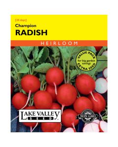 Raphanus, Radish 'Champion' Heirloom Value Pack