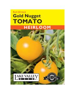 Solanum, Tomato Cherry (Bush) 'Gold Nugget' Heirloom