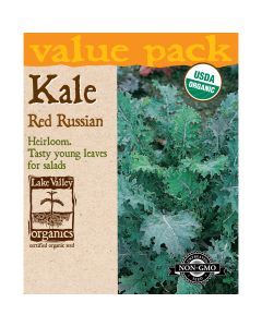Brassica, Kale 'Red Russian' Organic Heirloom Value Pack