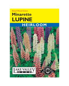 Lupinus, Lupine Mix 'Minarette' Heirloom