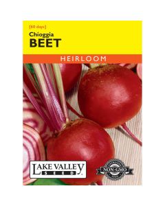 Beta, Beet 'Chioggia' Heirloom