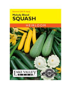 Cucurbita, Summer Squash Melody ~ 4g