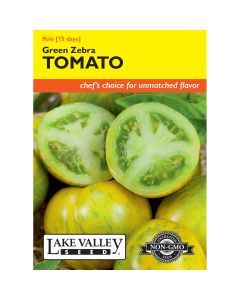 Solanum, Tomato Globe (Pole) 'Green Zebra'