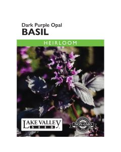 Ocimum, Basil 'Purple Dark Opal' Heirloom