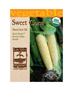 Zea, Sweet Corn (Early) 'Natural Sweet' Organic