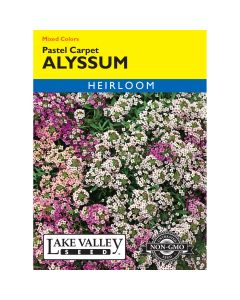 Lobularia, Alyssum Mix 'Pastel Carpet' Heirloom